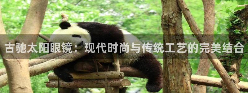 太和卧龙娱乐会所