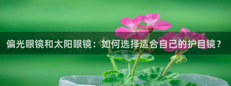 卧龙棋牌娱乐官网首页