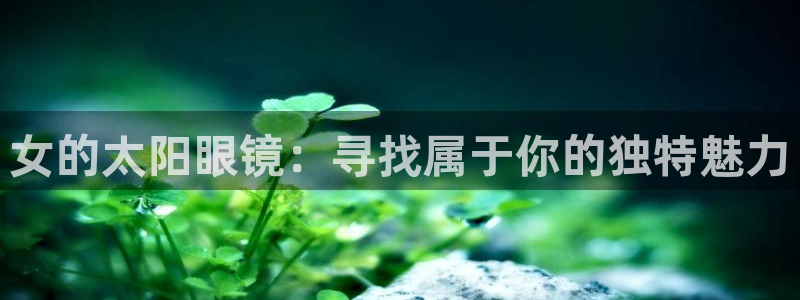卧龙区夜晚娱乐