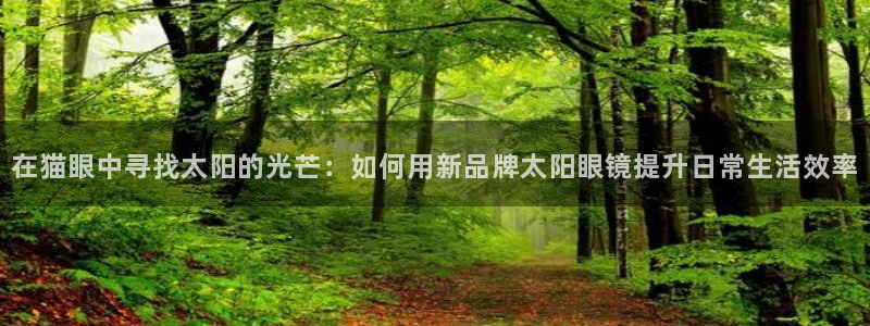 卧龙娱乐左
