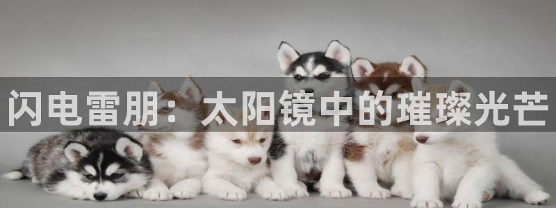 hr娱乐 卧龙招商60447