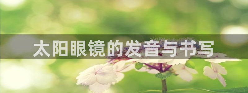 卧龙凤雏娱乐解说