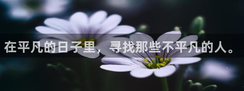 娱乐资讯君卧龙
