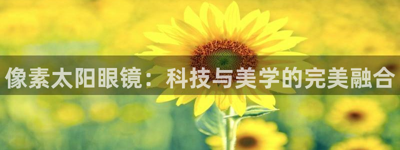 卧龙娱乐老板是谁
