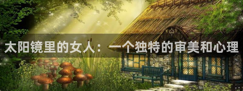 卧龙娱乐气垫项目投资