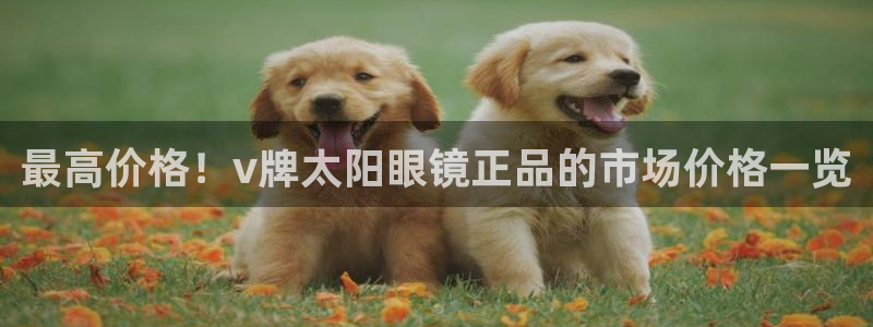 卧龙棋牌娱乐官网