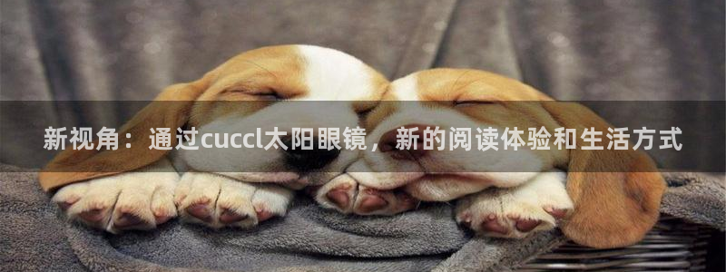 卧龙娱乐属于什么公司