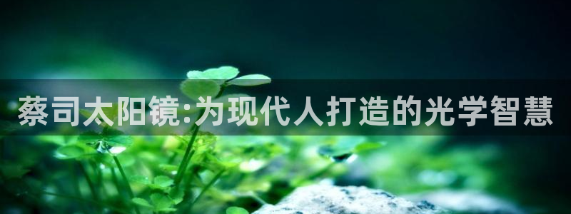 卧龙沙滩蹦床娱乐