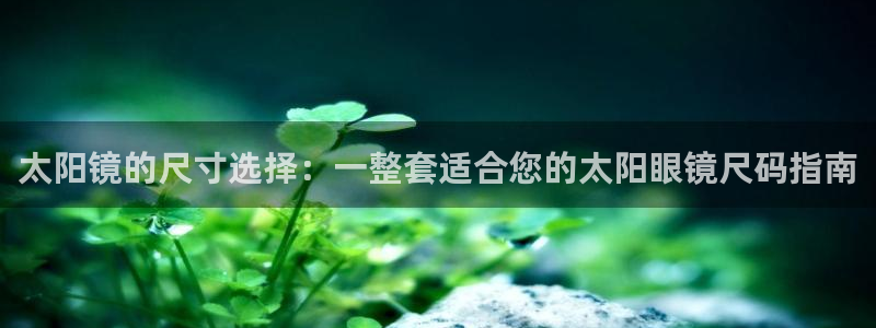 卧龙湾娱乐项目有哪些