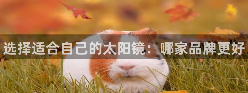 卧龙娱乐在线