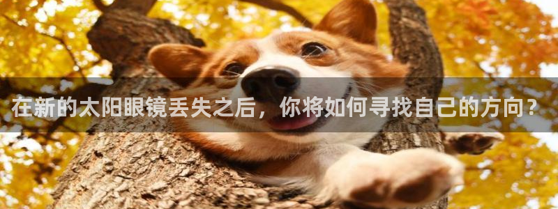 西安卧龙娱乐