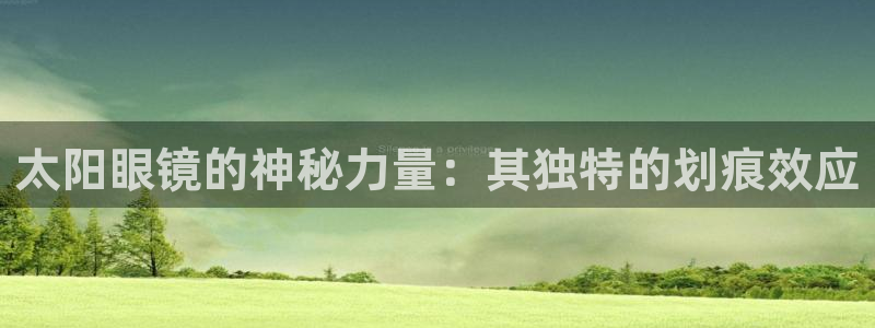 卧龙区维也纳娱乐会所