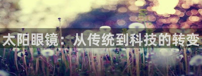泰安卧龙大观娱乐中心