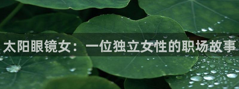 南阳卧龙娱乐会所