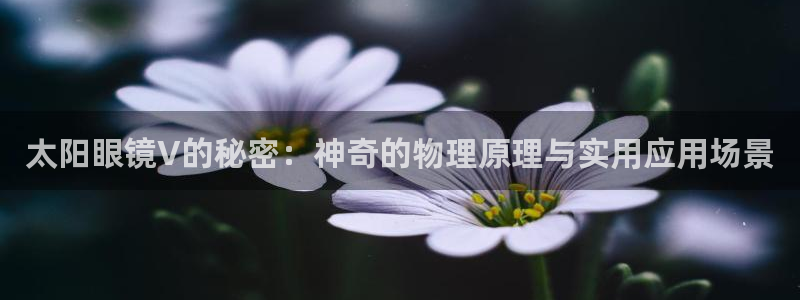 卧龙娱乐主管是谁呀