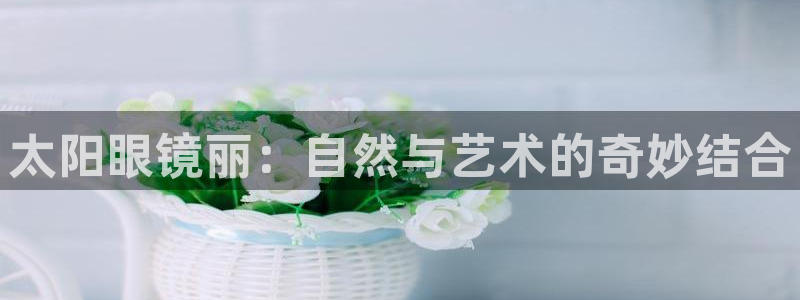 柏林娱乐 044 卧龙