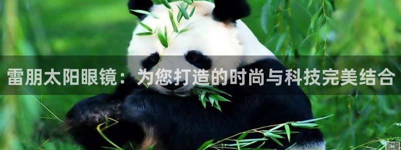 卧龙大型娱乐