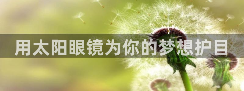 卧龙娱乐老板是谁