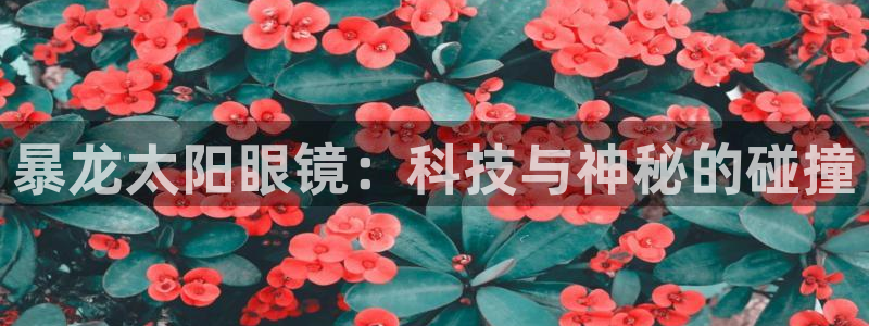卧龙娱乐382223