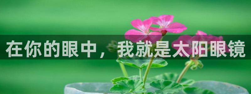 万景娱乐 卧龙