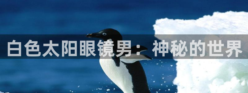 卧龙哥休闲娱乐