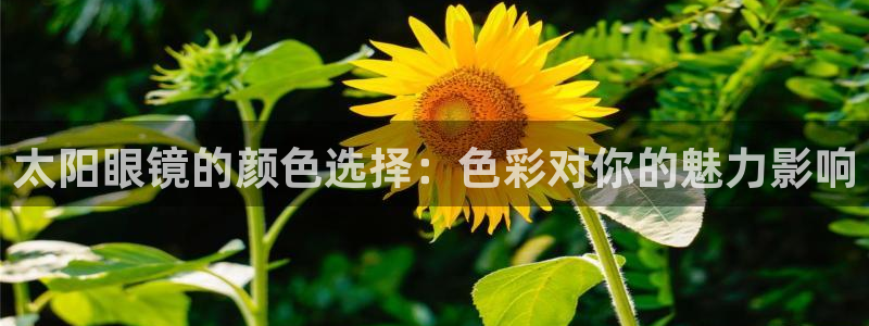 厦门卧龙台球娱乐会所