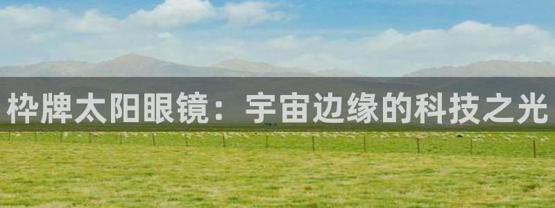 卧龙娱乐气垫项目投资