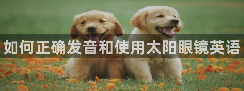卧龙娱乐找382223