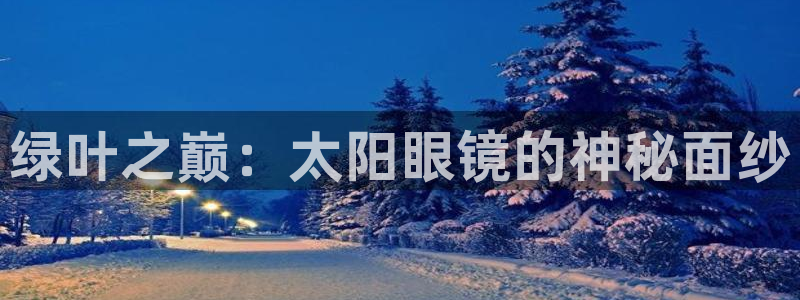 卧龙区维也纳娱乐会所