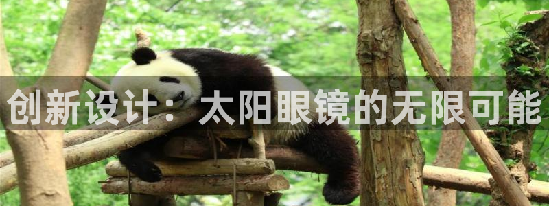 卧龙娱乐官网