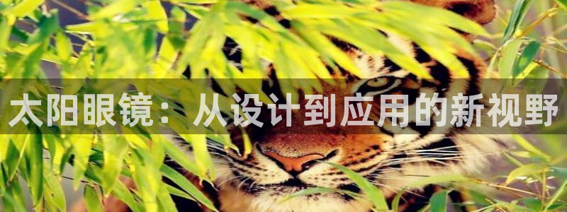 卧龙凤雏娱乐收入