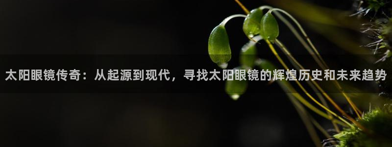 卧龙娱乐主管是谁呀