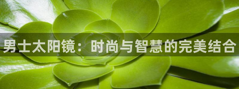 卧龙娱乐是哪个系列