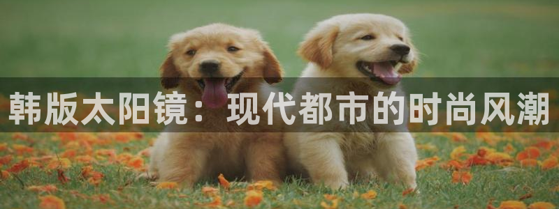 卧龙娱乐彩票中奖
