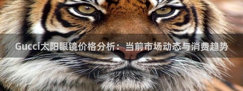 卧龙区休闲娱乐