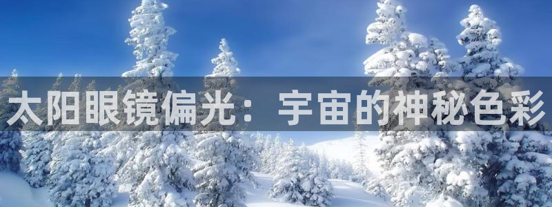 卧龙居餐饮娱乐