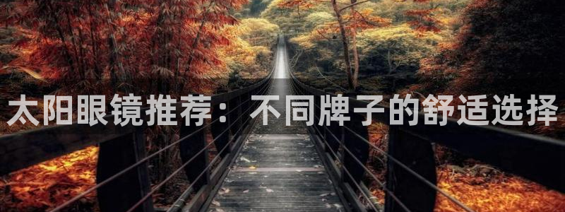 卧龙娱乐在线直播网站
