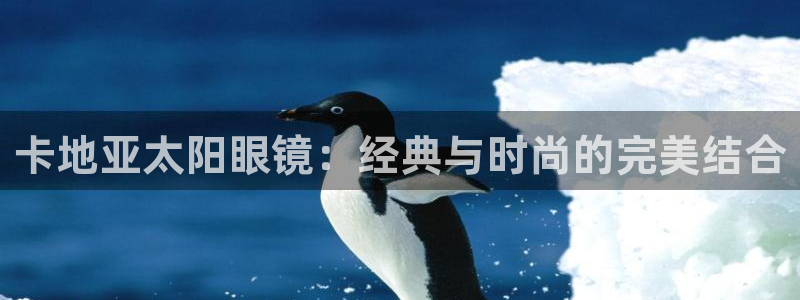 卧龙湾儿童娱乐项目价格