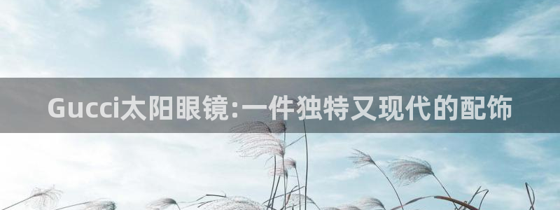 SKY娱乐卧龙招商60447