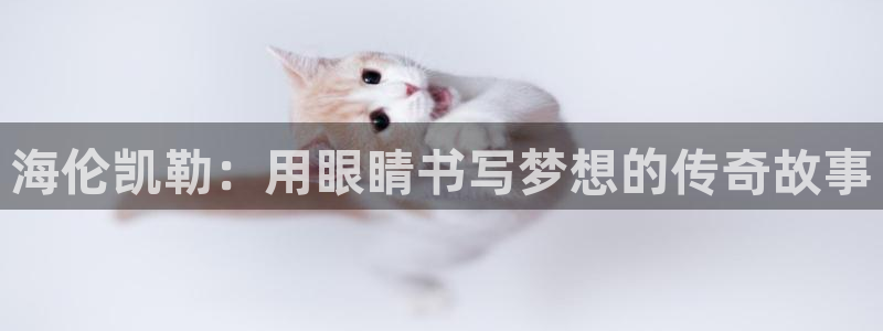 PT娱乐卧龙招商60447