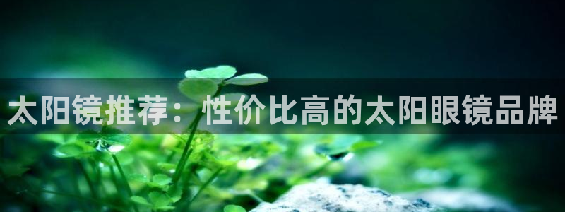 hr娱乐 扣卧龙60447