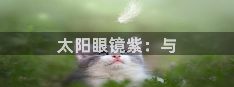 卧龙湖娱乐设施