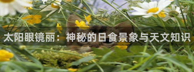 卧龙娱乐左7O667