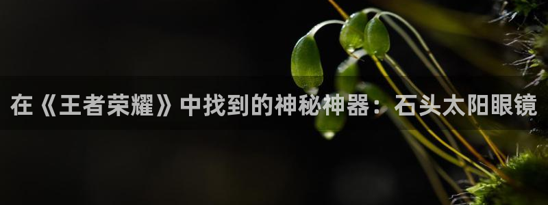 星鸿娱乐 0 47卧龙