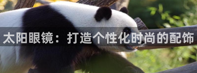 卧龙娱乐招商主管招聘