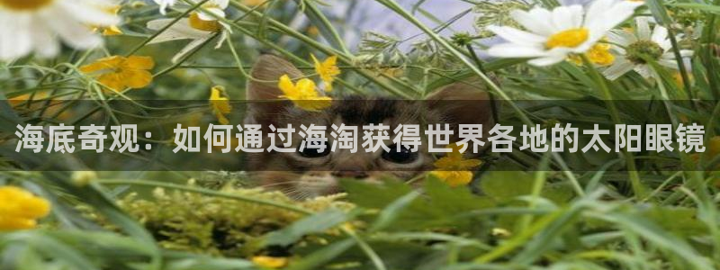 卧龙娱乐直播间