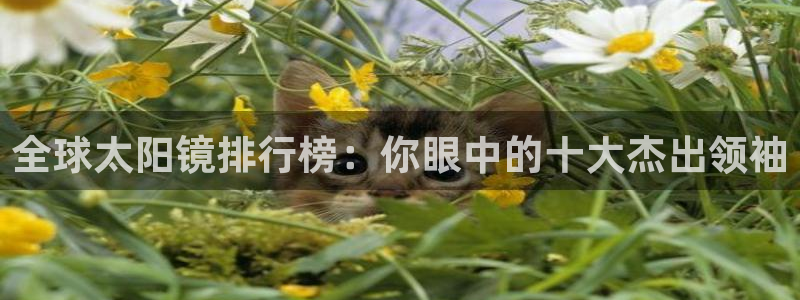 卧龙居餐饮娱乐