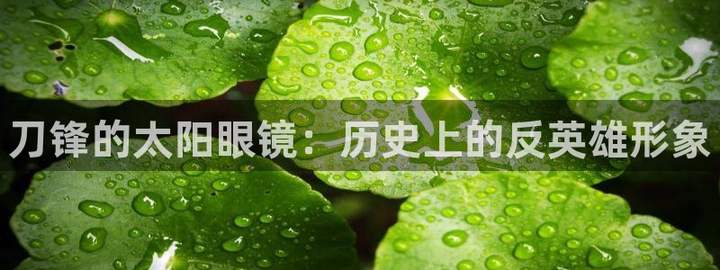 卧龙区休闲娱乐
