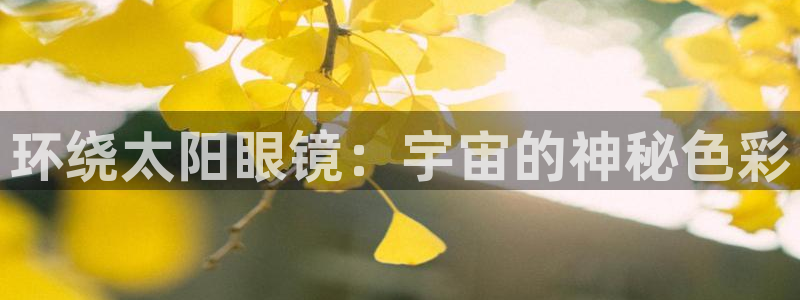 卧龙娱乐挂机平台有哪些