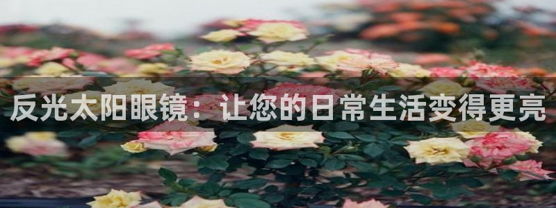 辣椒娱乐卧龙凤雏